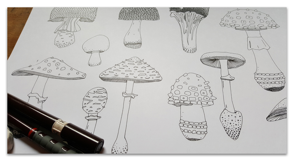 mushrooms work in progress illustration sharon turner