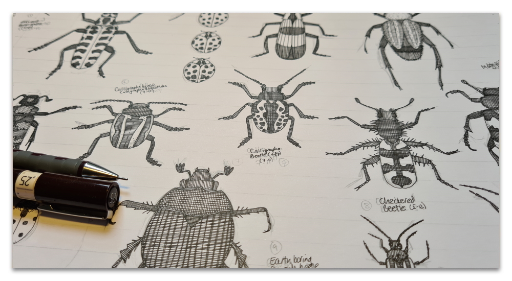 beetles work in progress sharon turner illustration