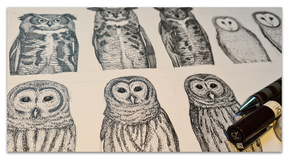 owls NC work in progress illustration drawing WIP sharon turner spoonflower