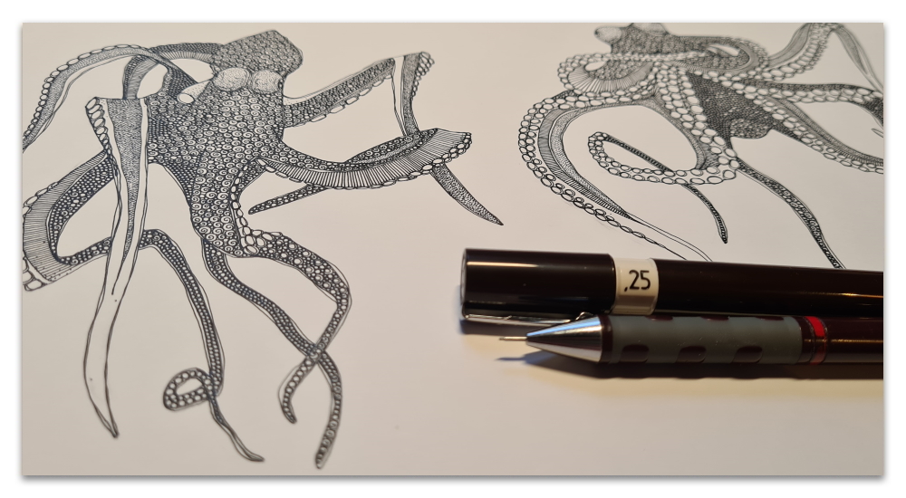 octopus 2023 work in progress WIP illustration sharon turner spoonflower