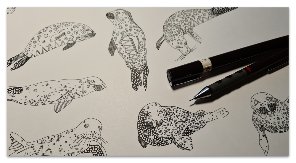 Cornwall seals WIP work in progress illustration sharon turner