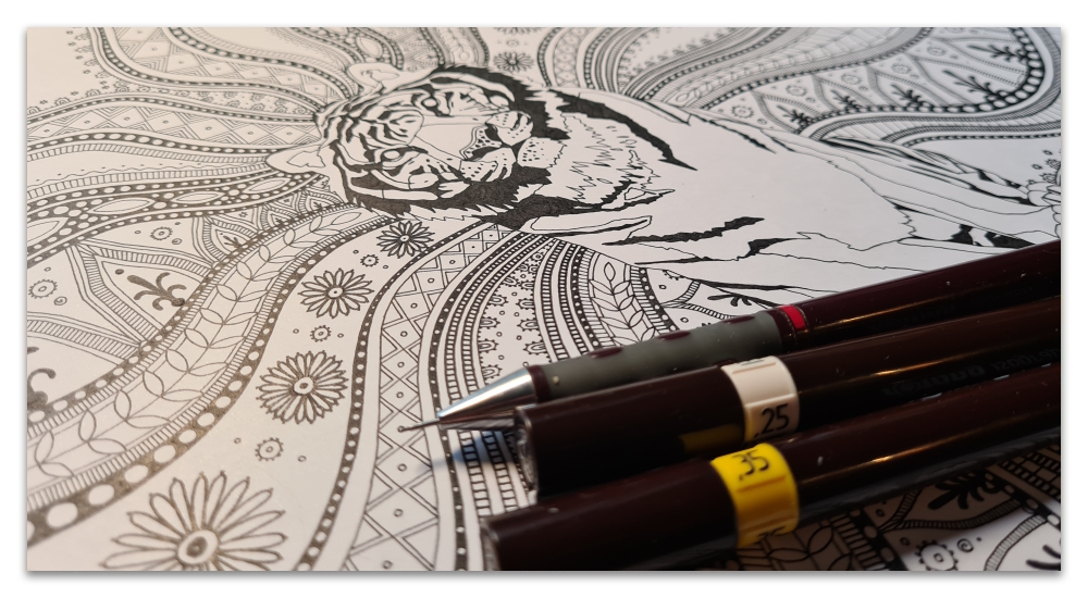 Indian tiger work in progress illustration sharon turner