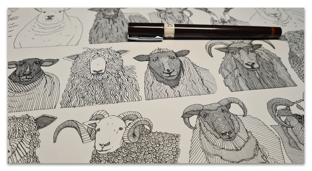 just sheep work in progress WIP illustration drawing sharon turner spoonflower