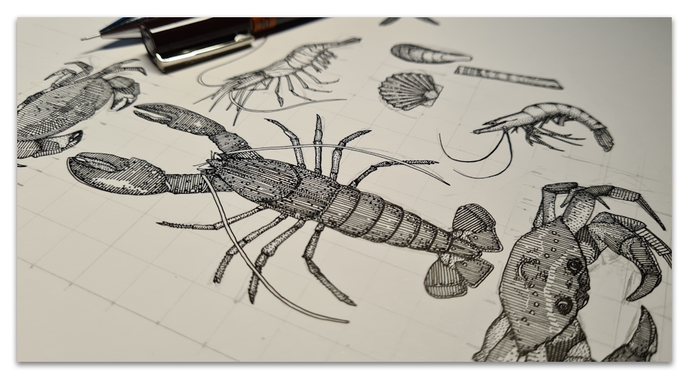 cornwall crustaceans work in progress WIP illustration sharon turner spoonflower scrummy