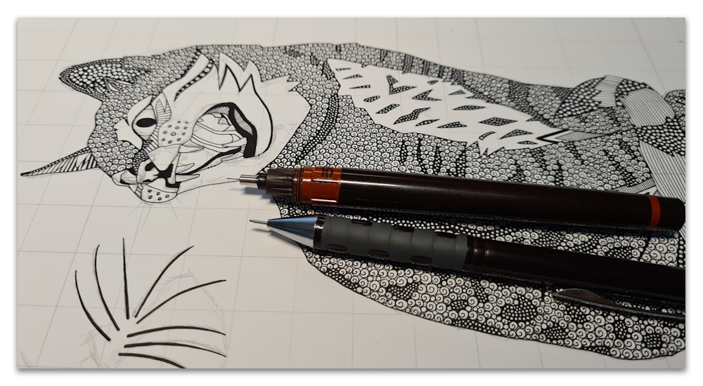 Indian desert cat work in progress illustration drawing sharon turner spoonflower scrummy