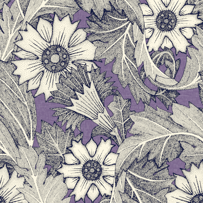 ACANTHUS NAVY BLUE VIOLET FLOWERS 700