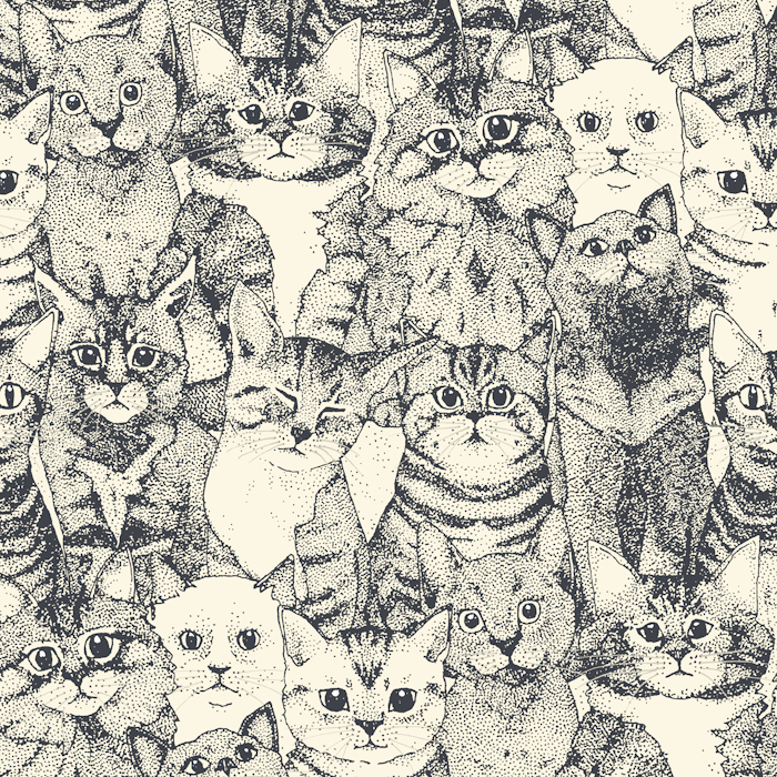 just kittens iron cats 700