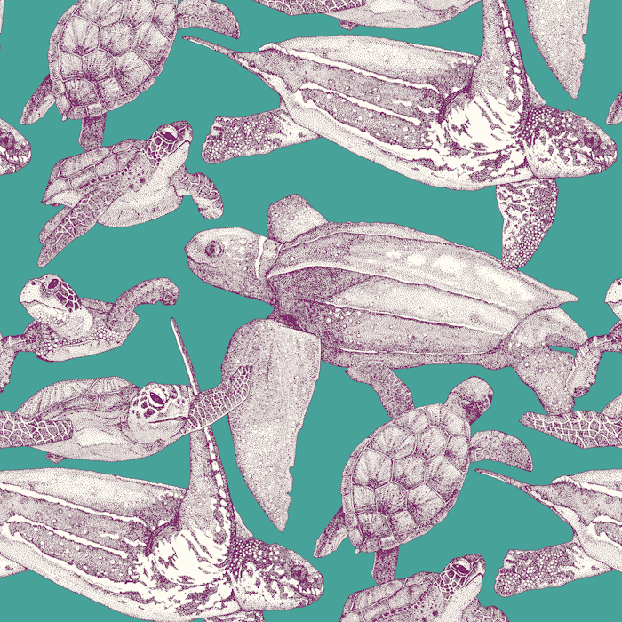 sea turtles purple turquoise amphibians and reptiles 700