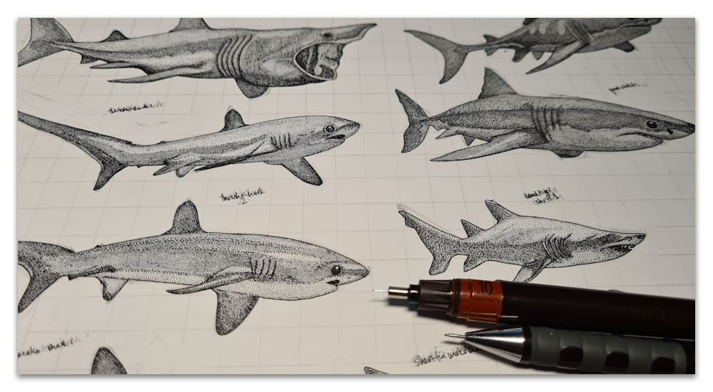 just sharks work in progress WIP illustration drawing sharon turner scrummy spoonflower