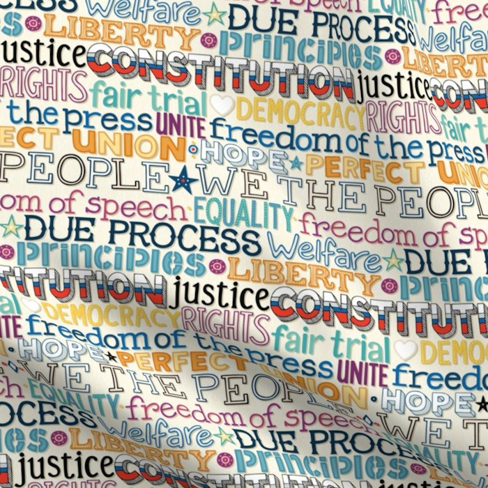 we the people typography USA politics collection spoonflower sharon turner scrummy