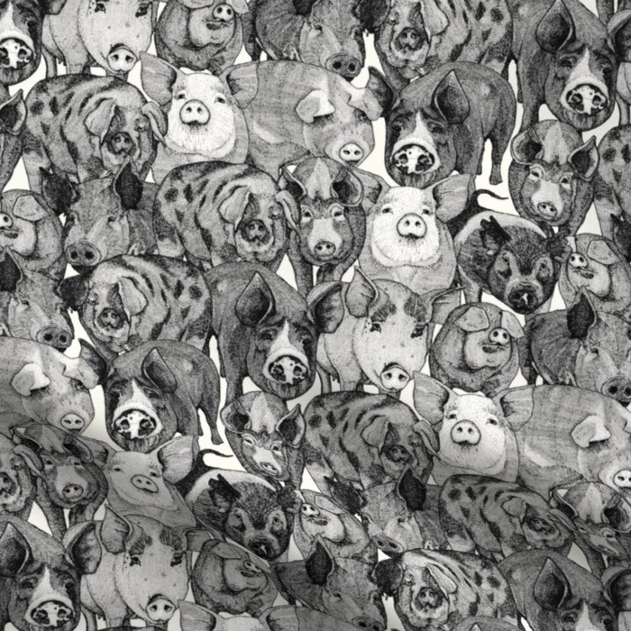 just pigs black half pearl fabric collection sharon turner scrummy farming