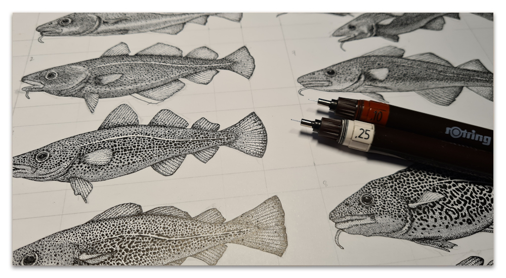 spoonflower Atlantic cod work in progress illustration sharon turner scrummy
