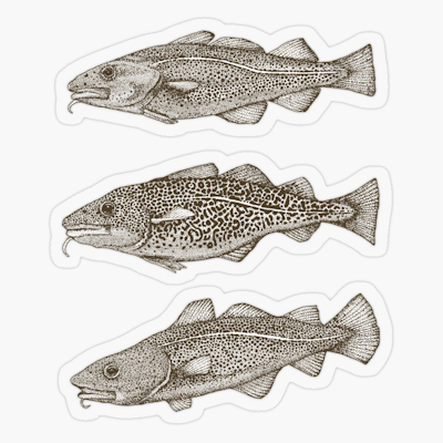 redbubble Atlantic code tea brown strong white sticker sharon turner scrummy