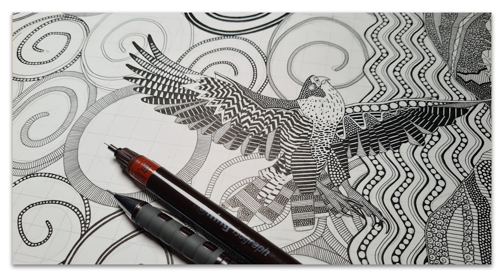 cornwall peregrine falcon work in progress WIP illustration drawing sharon turner scrummy